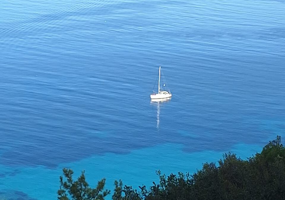Nea Flogita