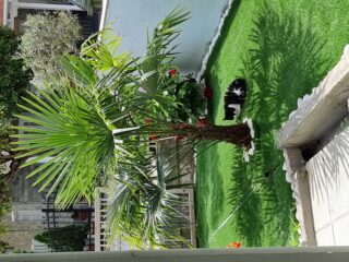 inbound2762345228132932275