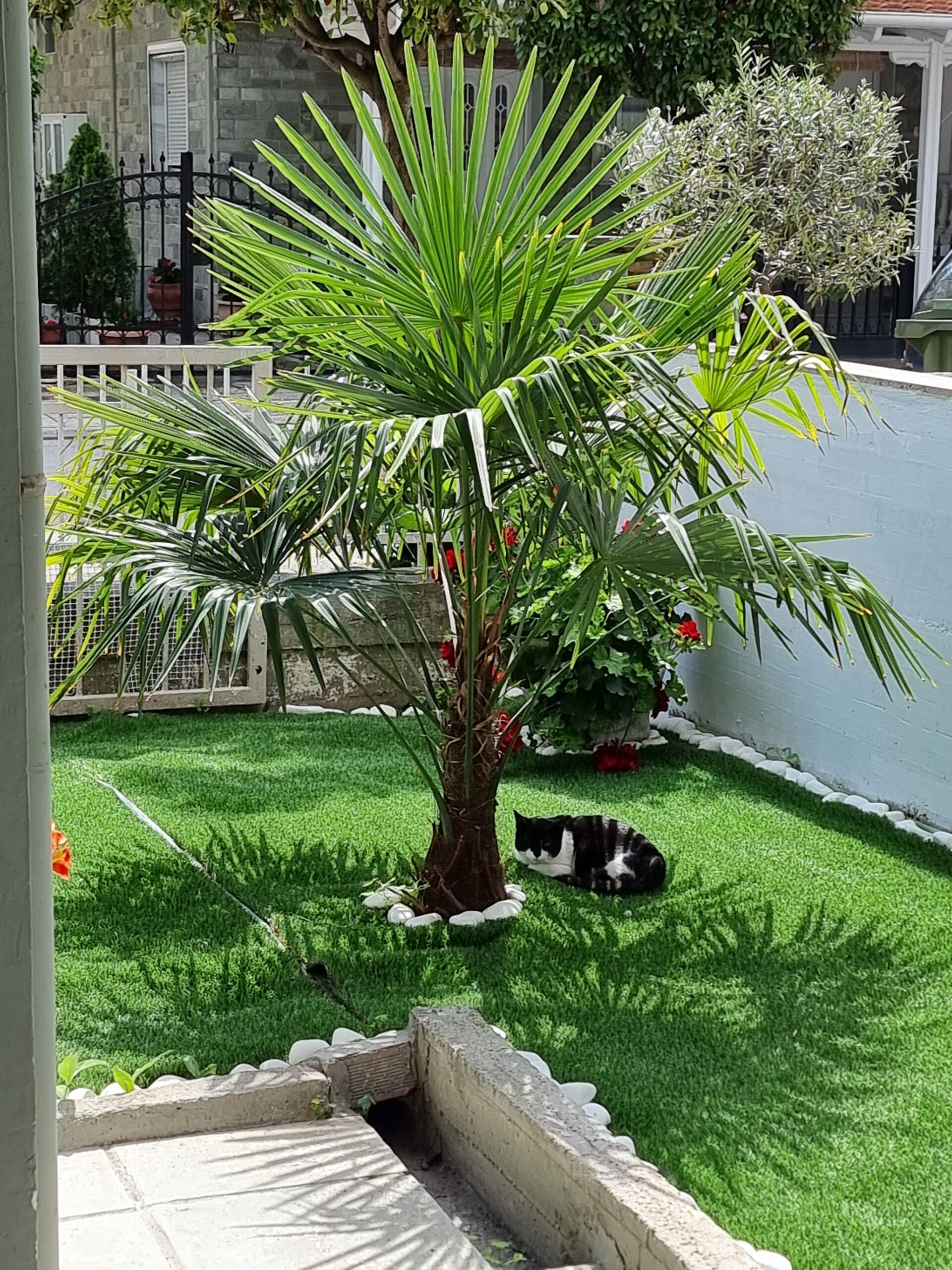 Smestaj Olympic Beach