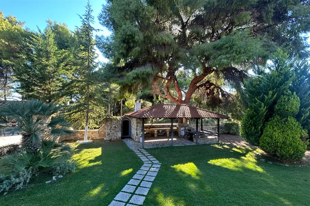 Iliannas Villa Nikiti